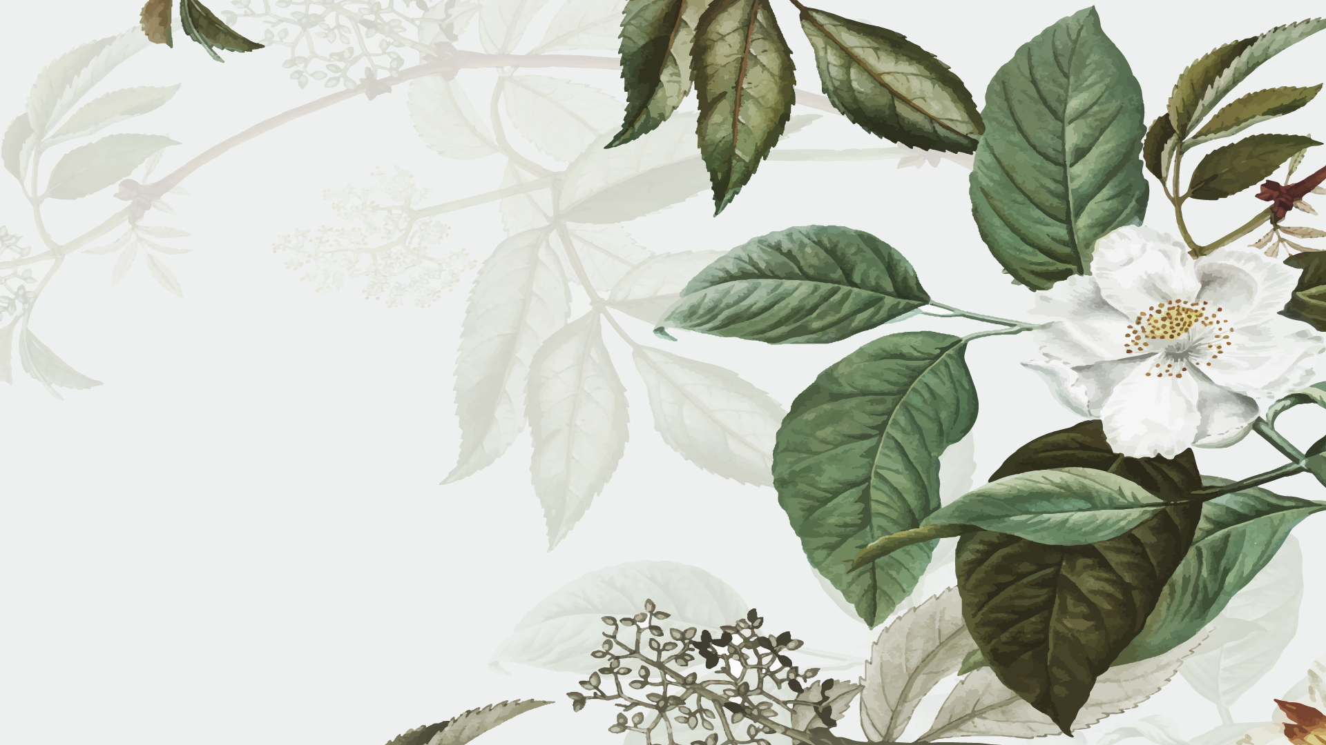 Floral & Bird Floral Collection